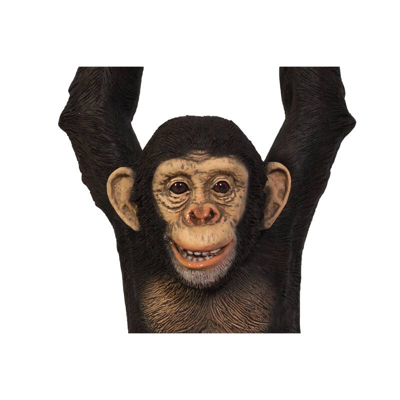 Hanging Jungle Jimmy K