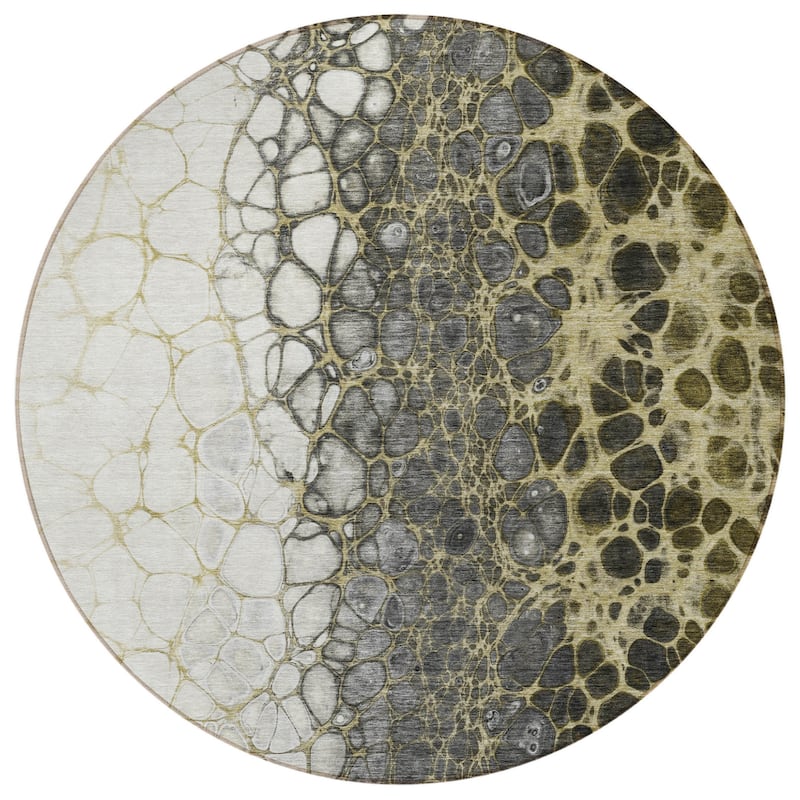 HomeRoots Abstract Transitional Rectangle Outdoor Rug