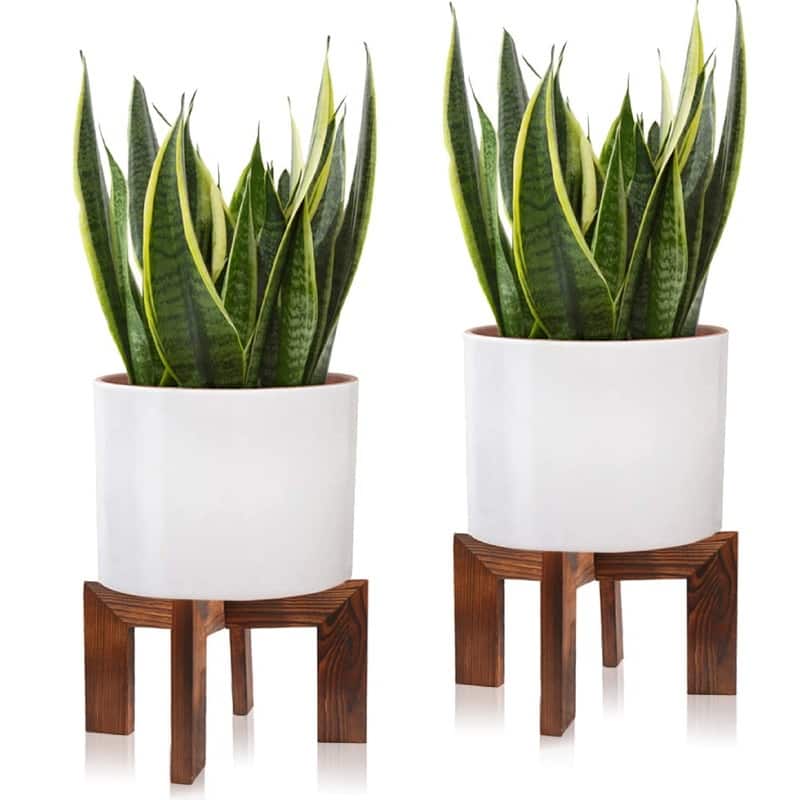2 Pack Wood Plant Stand - 11.8 x 11.8 x 7 inches