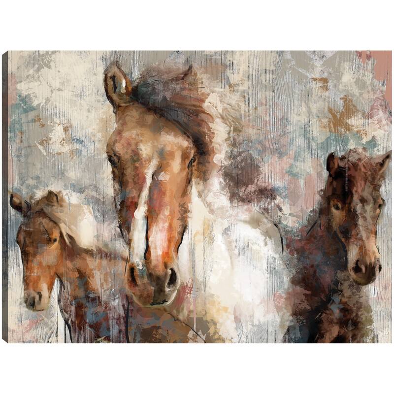 In The Wild By Studio Arts Canvas Art Print