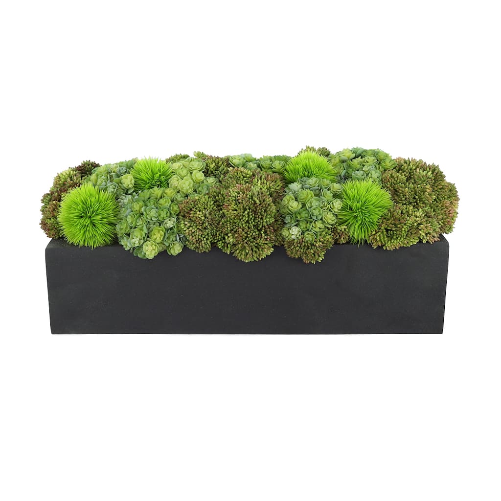 Assorted Sedum Arrangement in a Rectangular Planter - Green