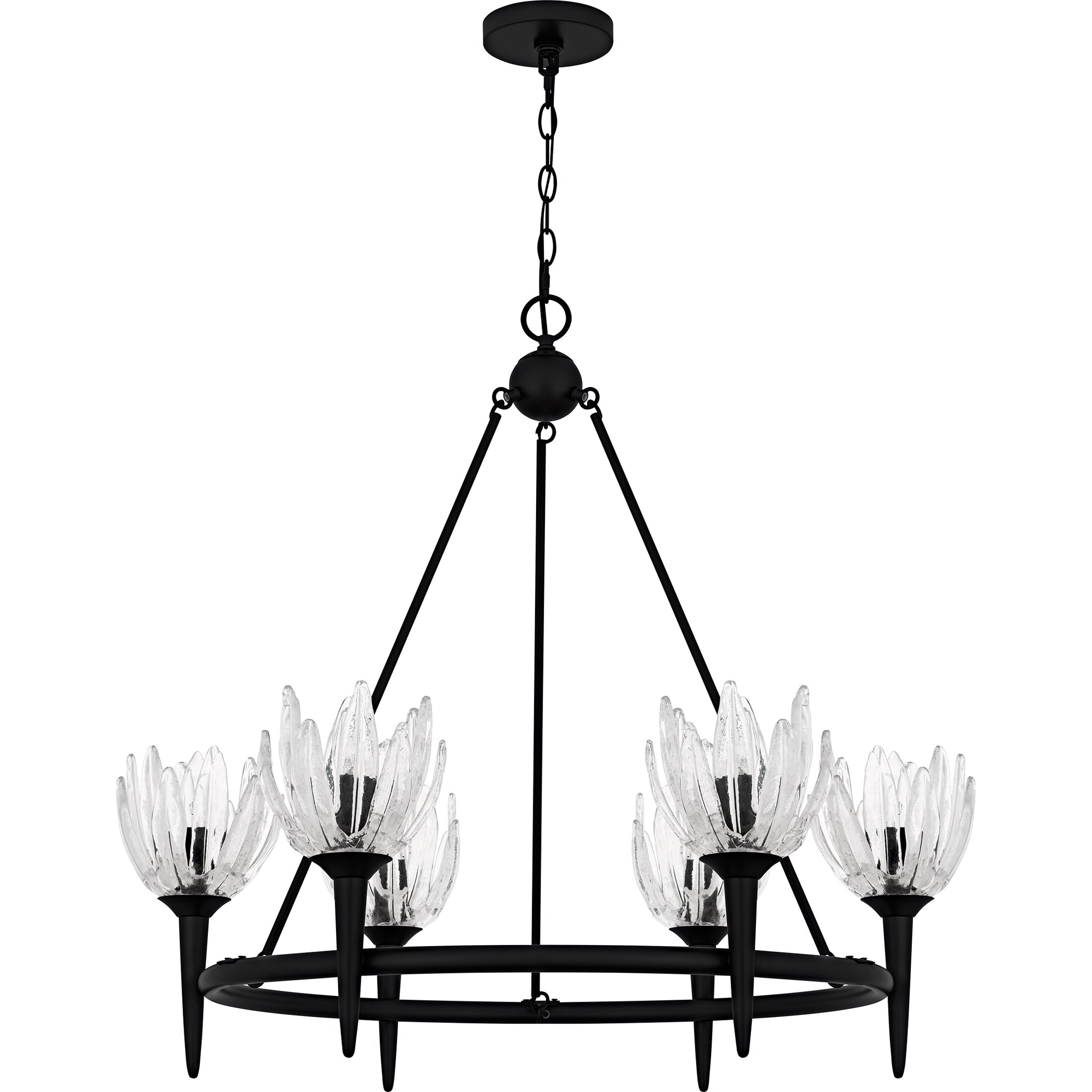 プランと料金 - Chandelier Black Matte 6-Light Shea Bed Beyond & Bath ヘアアクセサリー
