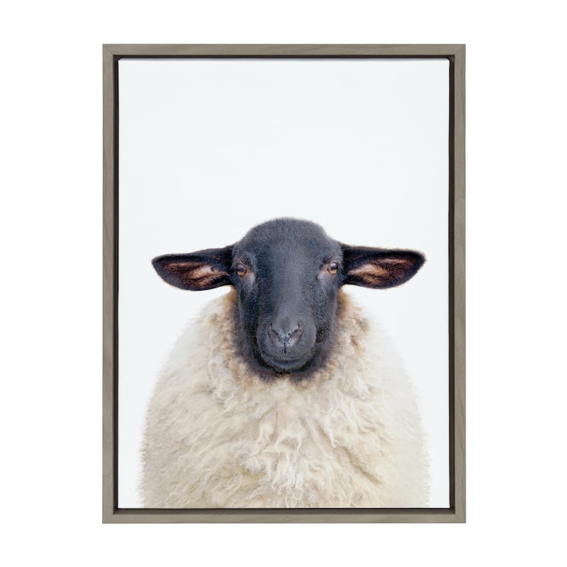 Kate and Laurel Sylvie Dorper Sheep Framed Canvas by Amy Peterson Art Studio