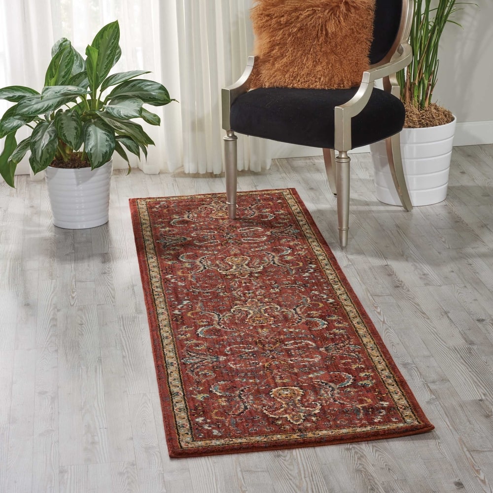 Nourison 2020 Traditional Floral Medallion Persian Pattern Area Rug