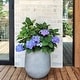 preview thumbnail 7 of 28, DreamPatio La Mirada 1-piece Fiberstone Tapered Planter for Indoor/Outdoor