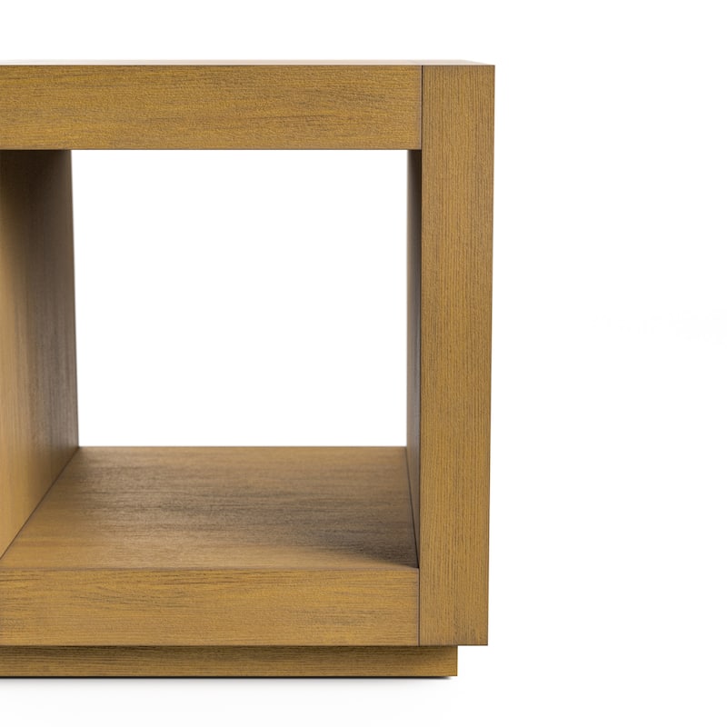 Furniture of America Gryel Modern 20-inch 1-Shelf Square End Table