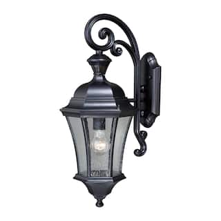 Aberdeen Black Motion Sensor Dusk-to-Dawn Outdoor Wall Light - 9.5-in W x 23-in H x 11-in D