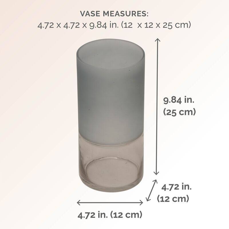 Elements Clear Glass Cylinder Vase, 10 Inch