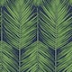 Option Moss Green & Blue
