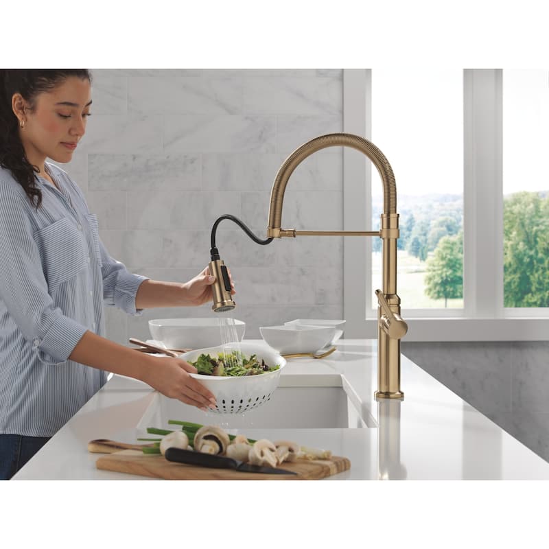 Delta 18829-DST Rhett 1.8 GPM Single Hole Pre-Rinse Pull Down Kitchen