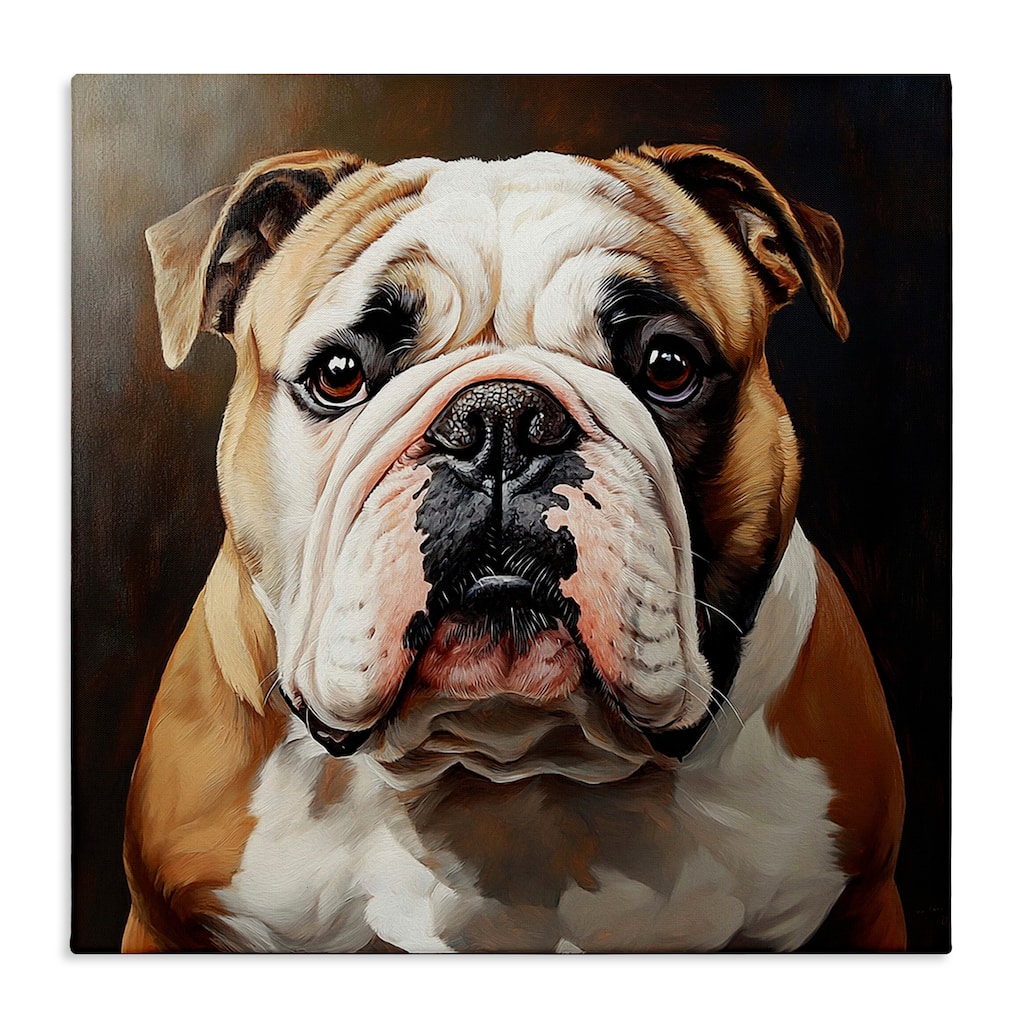 Stupell Stoic Bulldog Portrait Canvas Wall Art Design By Tom Crehan