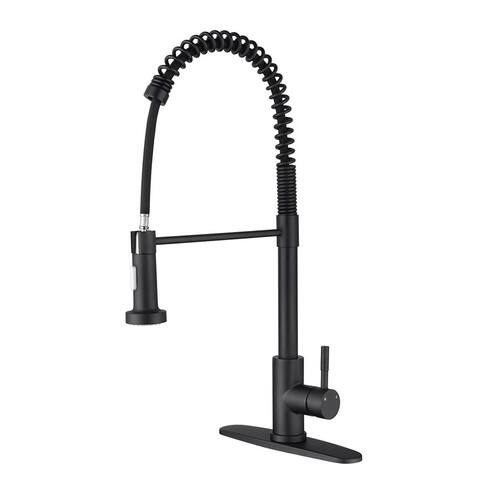 Stainless Steel Kitchen Faucet with Pull Out Spraye,Black