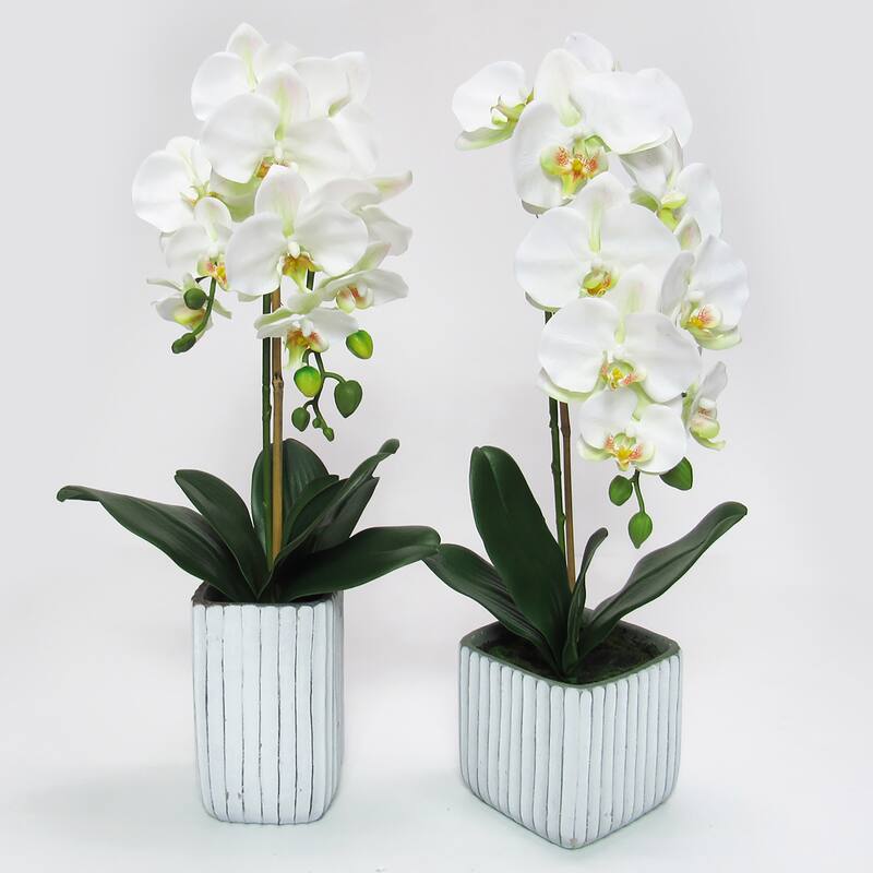 Cream White Artificial Phalaenopsis Orchid Flower Arrangement in Square Embossed Stripe Ceramic Pot 23in - 23" H x 9" W x 8" DP