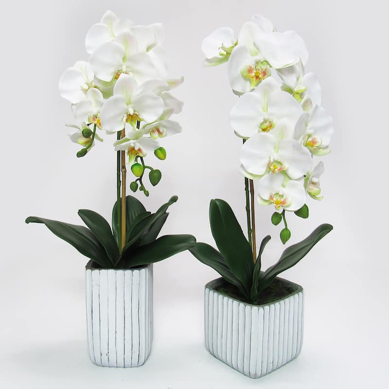 Cream White Artificial Phalaenopsis Orchid Flower Arrangement in Tall Embossed Stripe Ceramic Pot 26in - 26" H x 9" W x 8" DP
