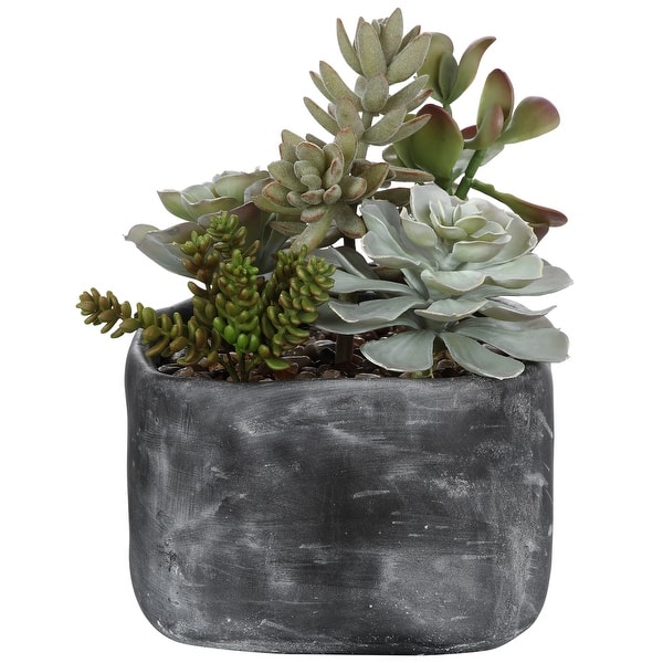slide 2 of 4, Uttermost Alverio Desert Garden Succulents