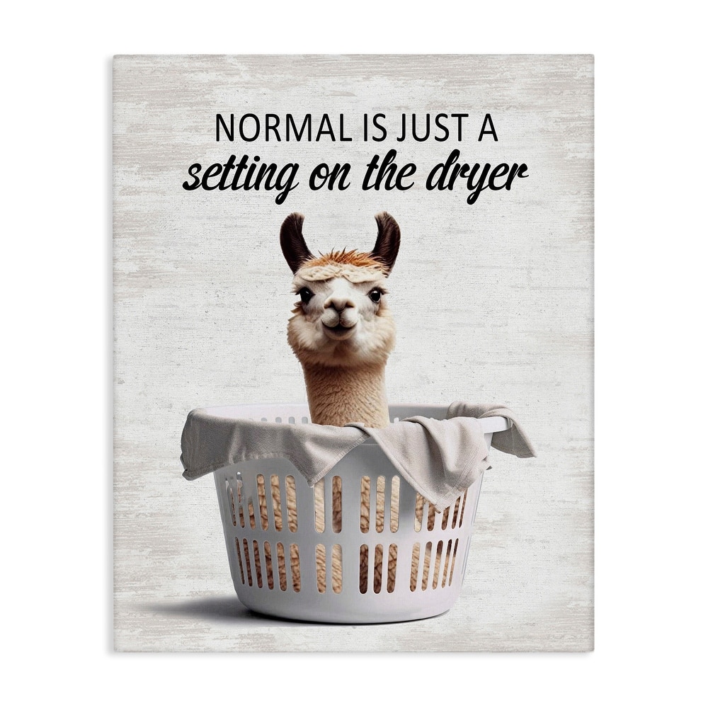 Stupell Funny Normal Dryer Quote Canvas Wall Art Design By Lettered and Lined