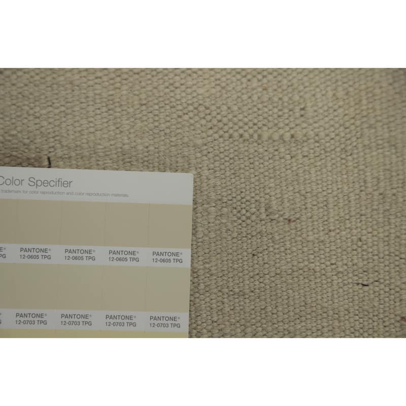 Hand Woven Southwestern Wool Beige Geometric Area Rug - 9' 10'' X 6' 7''