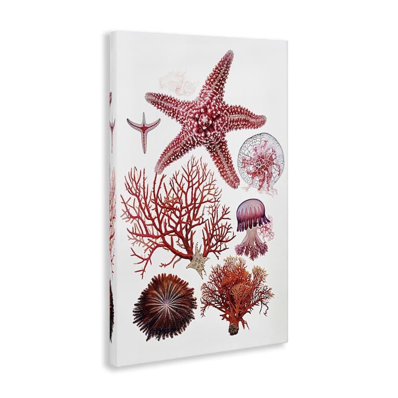 Stupell Rosy Undersea Creatures Canvas Wall Art Design By Ramona Murdock