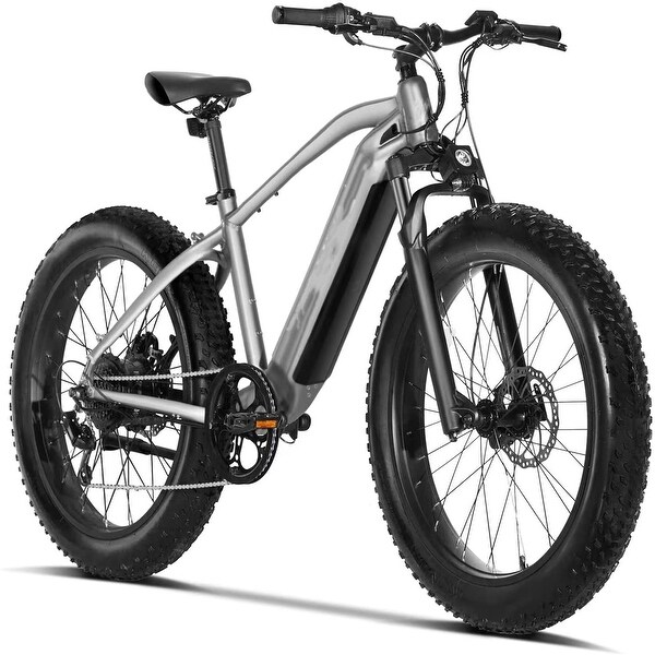 Electric Bike Adults 750W BAFANG Motor 48V 15Ah Removable Larger