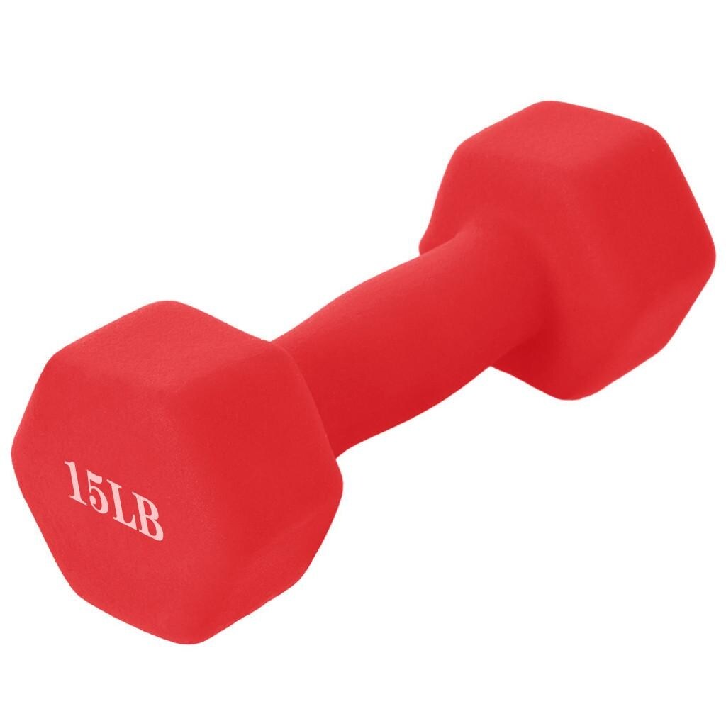 Dumbbells best sale 15 pounds