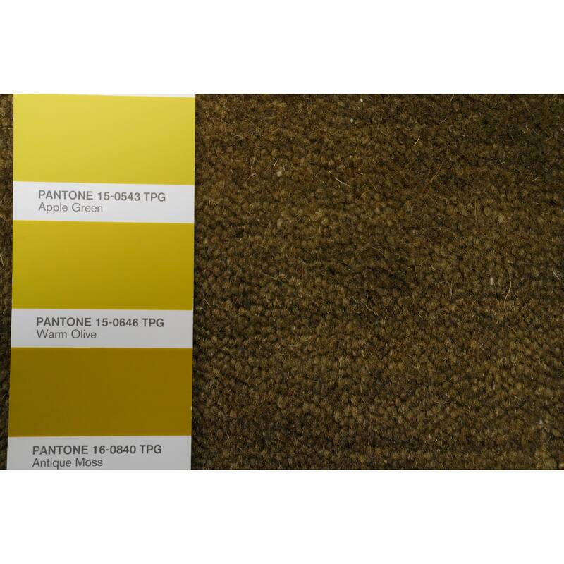 Hand Knotted Oriental 100% Wool Carpet Tribal Animal Pictorial Green Gabbeh Area Rug - 7' 9'' X 5' 1''