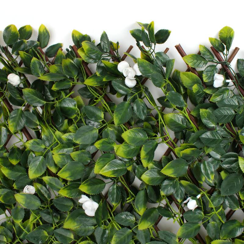 White Rose Rattan leaf Trellis - 20 x 108