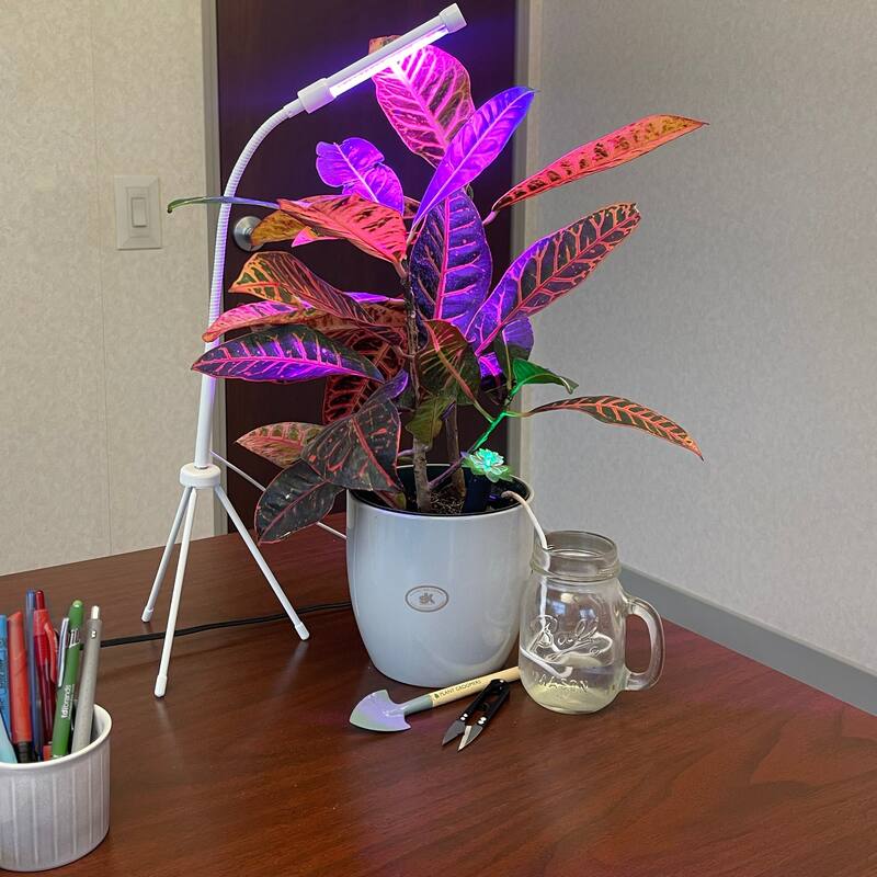 Wicked Waterer Plant Deluxe 5 Piece Kit - Two Plant Alarms, one Grow Light, Grooming Kit and Spike Water Kit