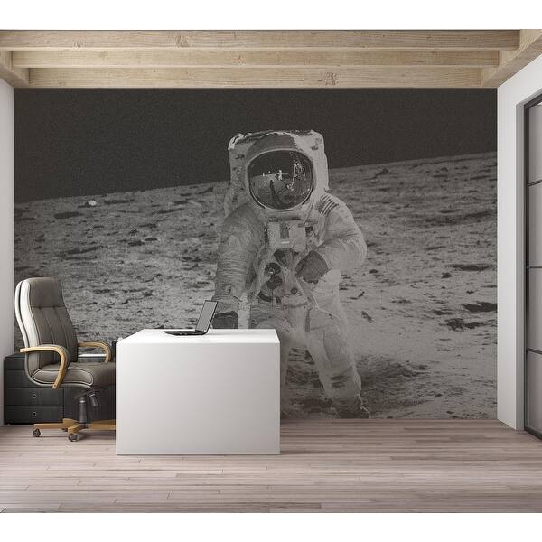 Premium Wallpaper Wall Mural - Astronaut Moon Landing - Bed Bath ...