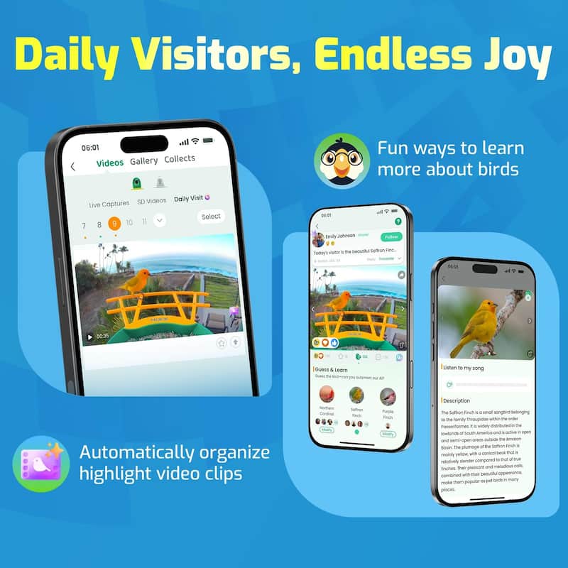 Smart Hummingbird Feeder with Camera Solar Powered