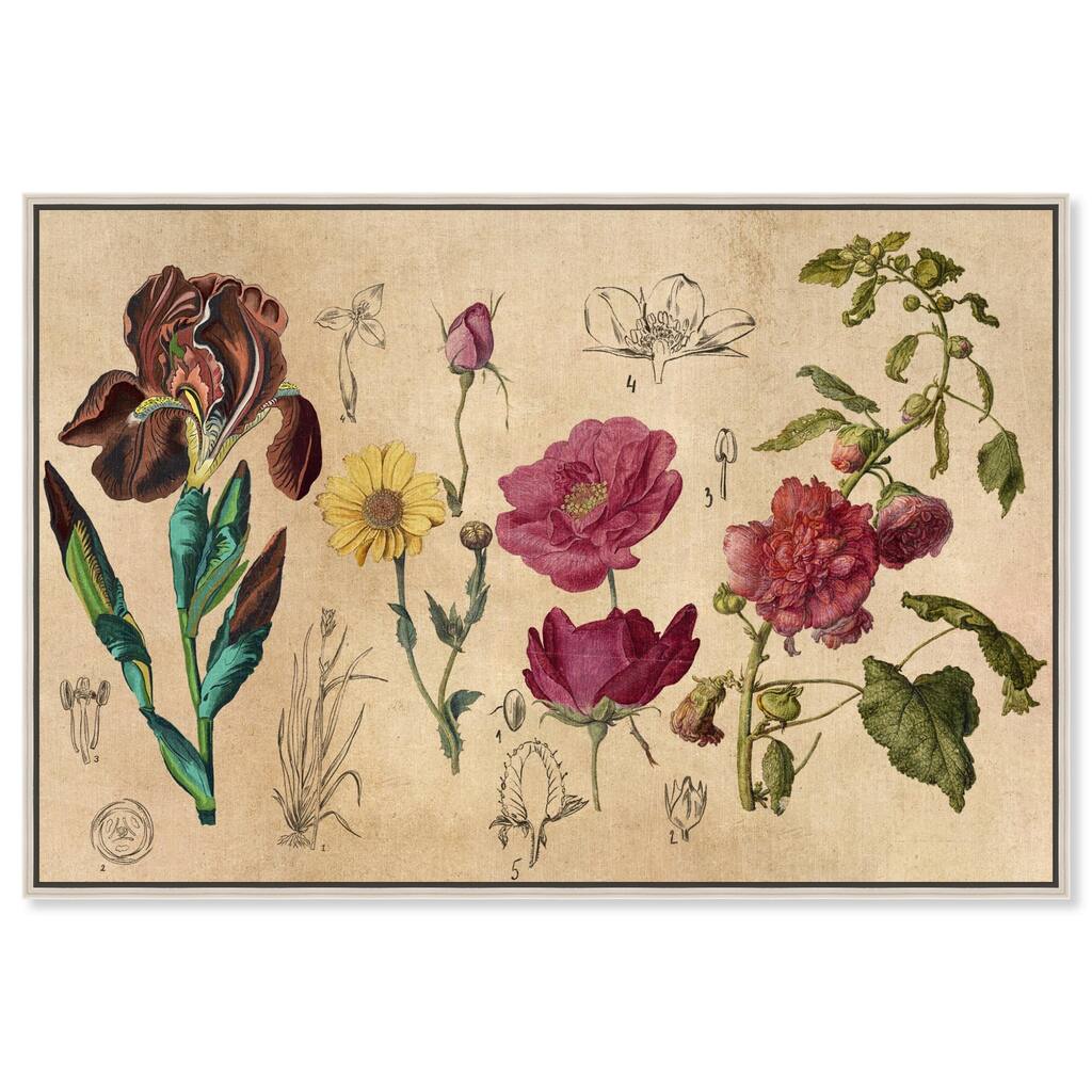Blossoming Florals Canvas by Art Remedy