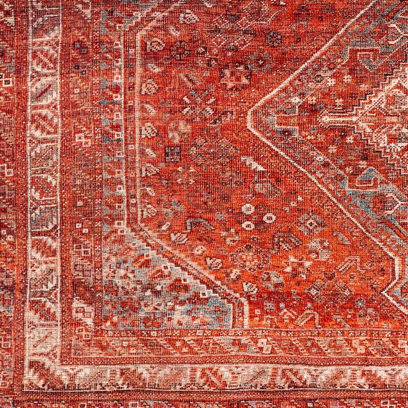 Mr. Kate Annie Distressed Medallion Washable Area Rug