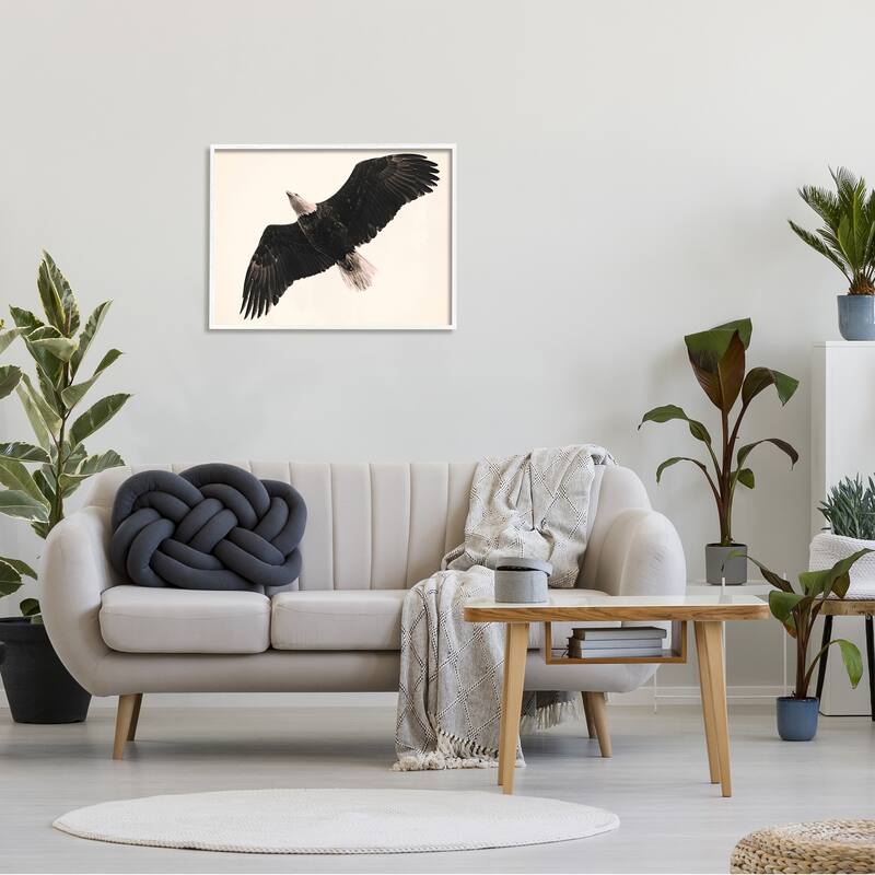 Stupell Eagle Flying Overhead Vintage Bird Sepia Tone Photography Framed Wall Art - Black