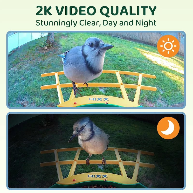 Smart Bird Feeder with Camera 2K HD Live