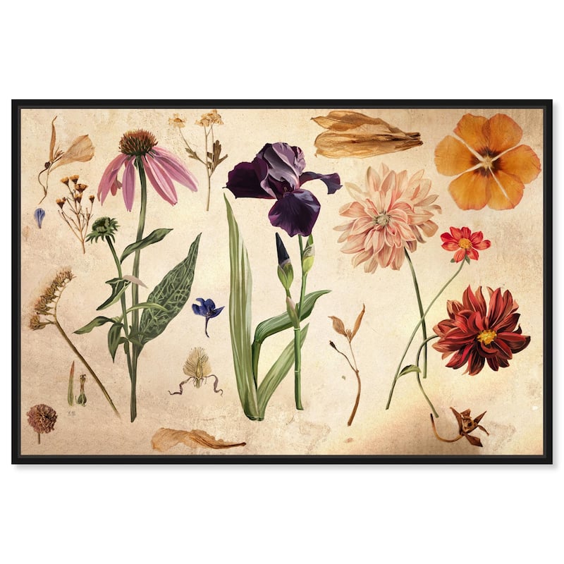 Floral Selection II Canvas by Art Remedy - Black - 36" x 24"