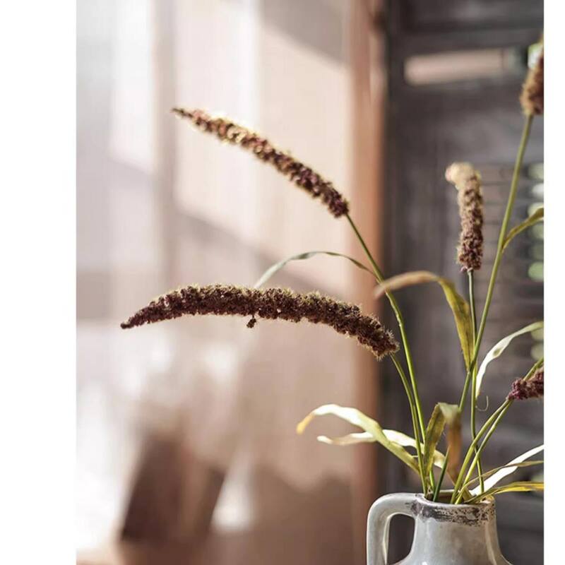 RusticReach Three-Headed Dogtail Grass Stem 39" Tall