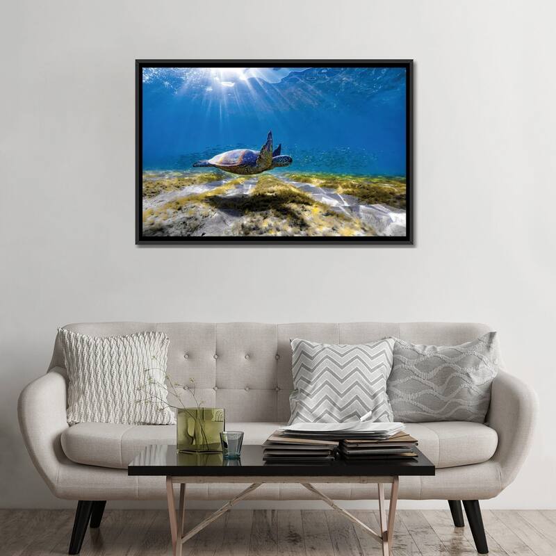 iCanvas "Waimea Turtle Glide" by Sean Davey Framed