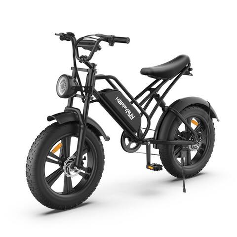 20" 750W 48V 18AH Electric Mountain Bike with LCD Display
