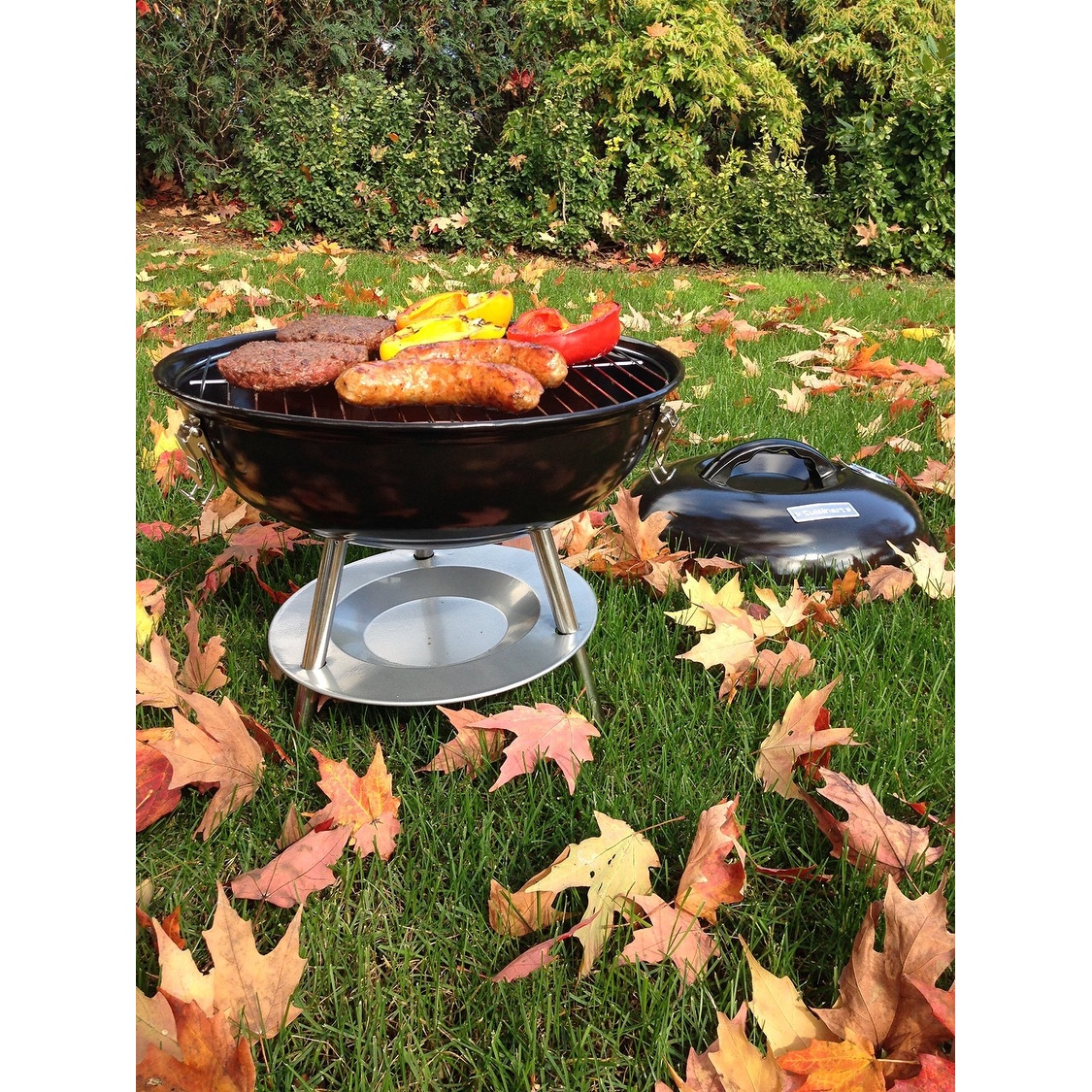 Cuisinart 14 store charcoal grill