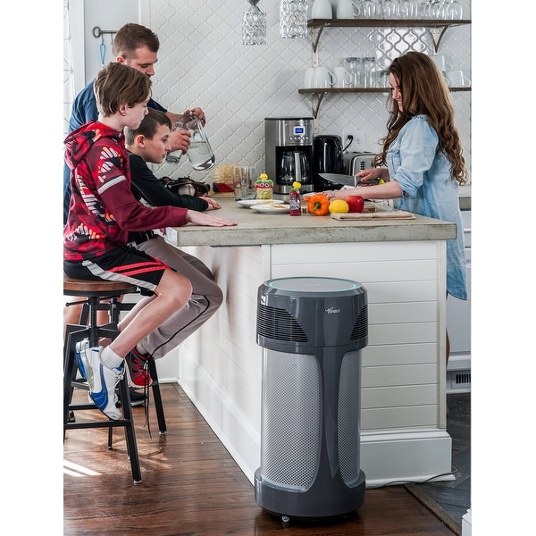 Hunter AirMax Whole Home Industrial Strength Air Purifier with