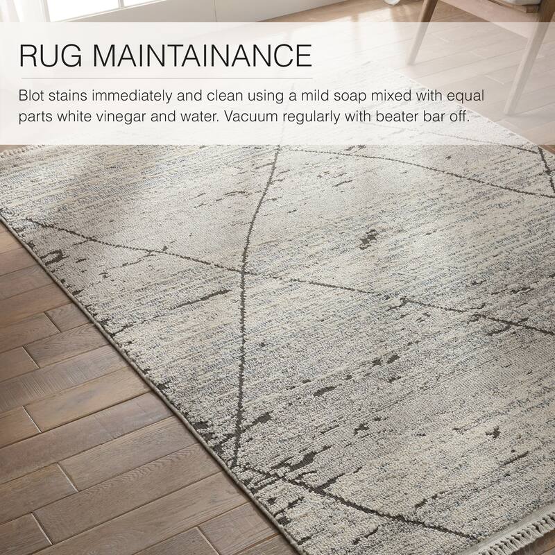Imani Trellis Area Rug
