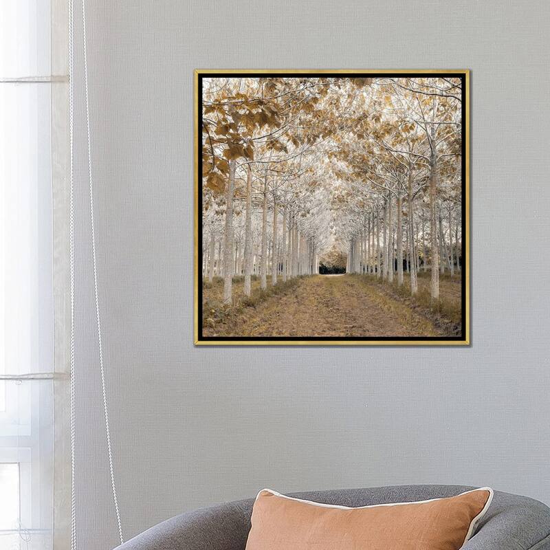 iCanvas "White Gold" by Assaf Frank Framed Canvas Print