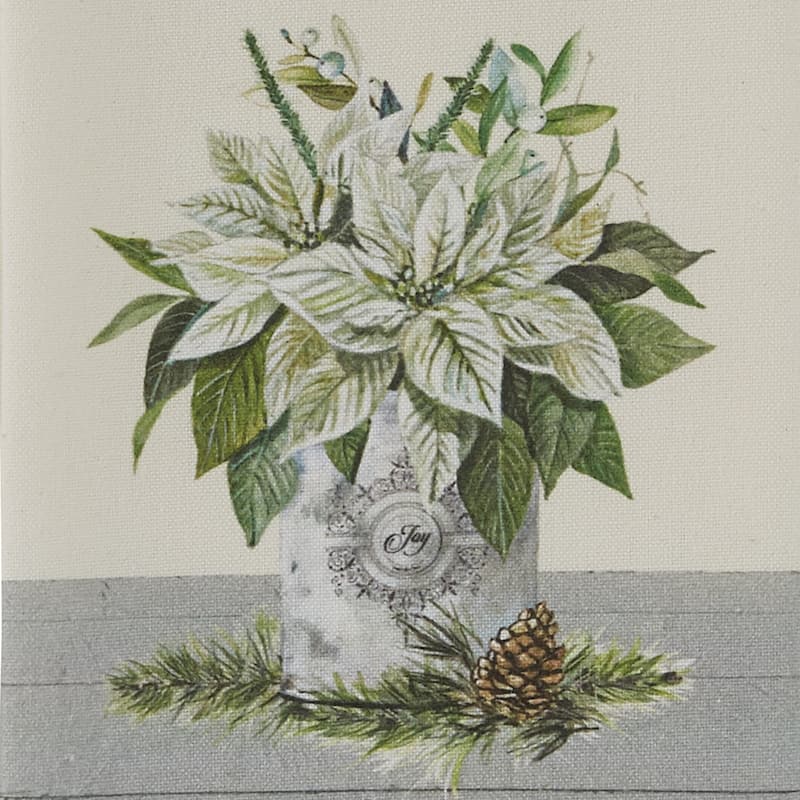 Park Designs Joy White Poinsettia Dishtowel Set of 2 - 18" X 28"