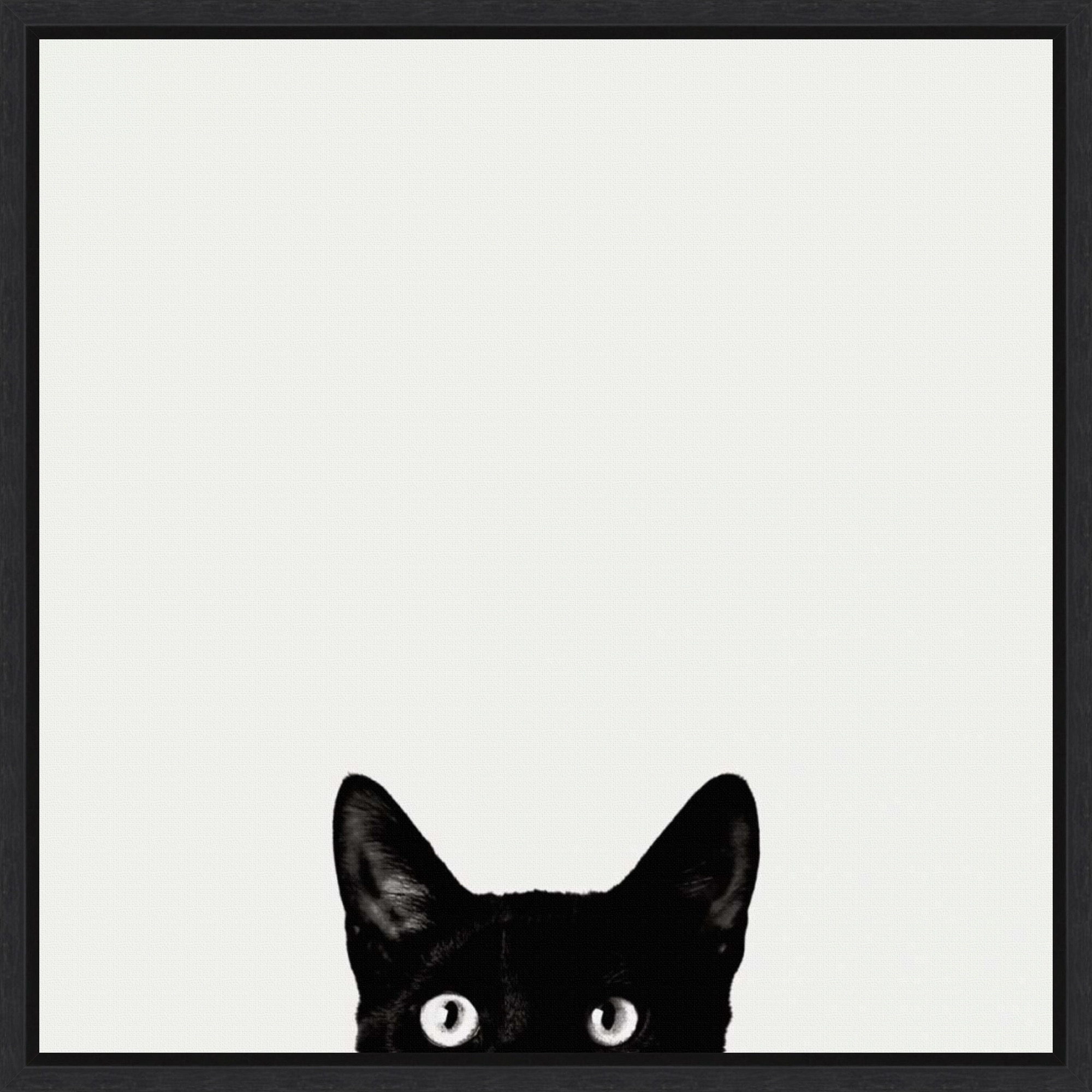 Curiosity Framed Canvas Wall Art Print