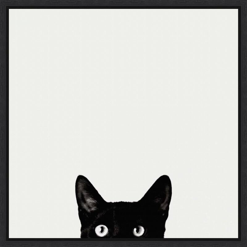 Curiosity Framed Canvas Wall Art Print