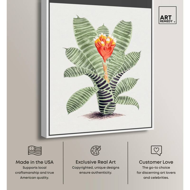 Tillandsia Musaica Plant Canvas by Art Remedy