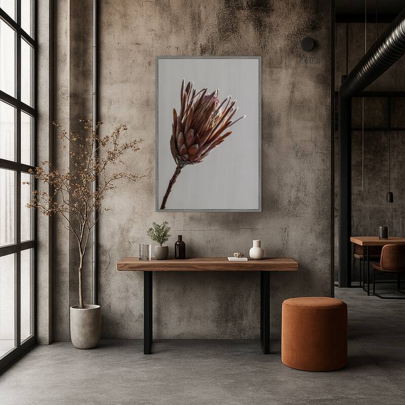 Momo by Shot by Clint Framed Canvas Wall Art Print