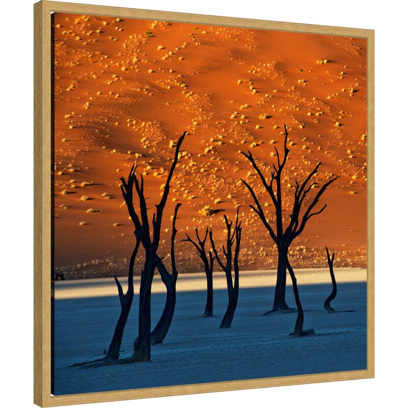 The Old Marsh by Sossusvlei Namibia Framed Canvas Wall Art Print