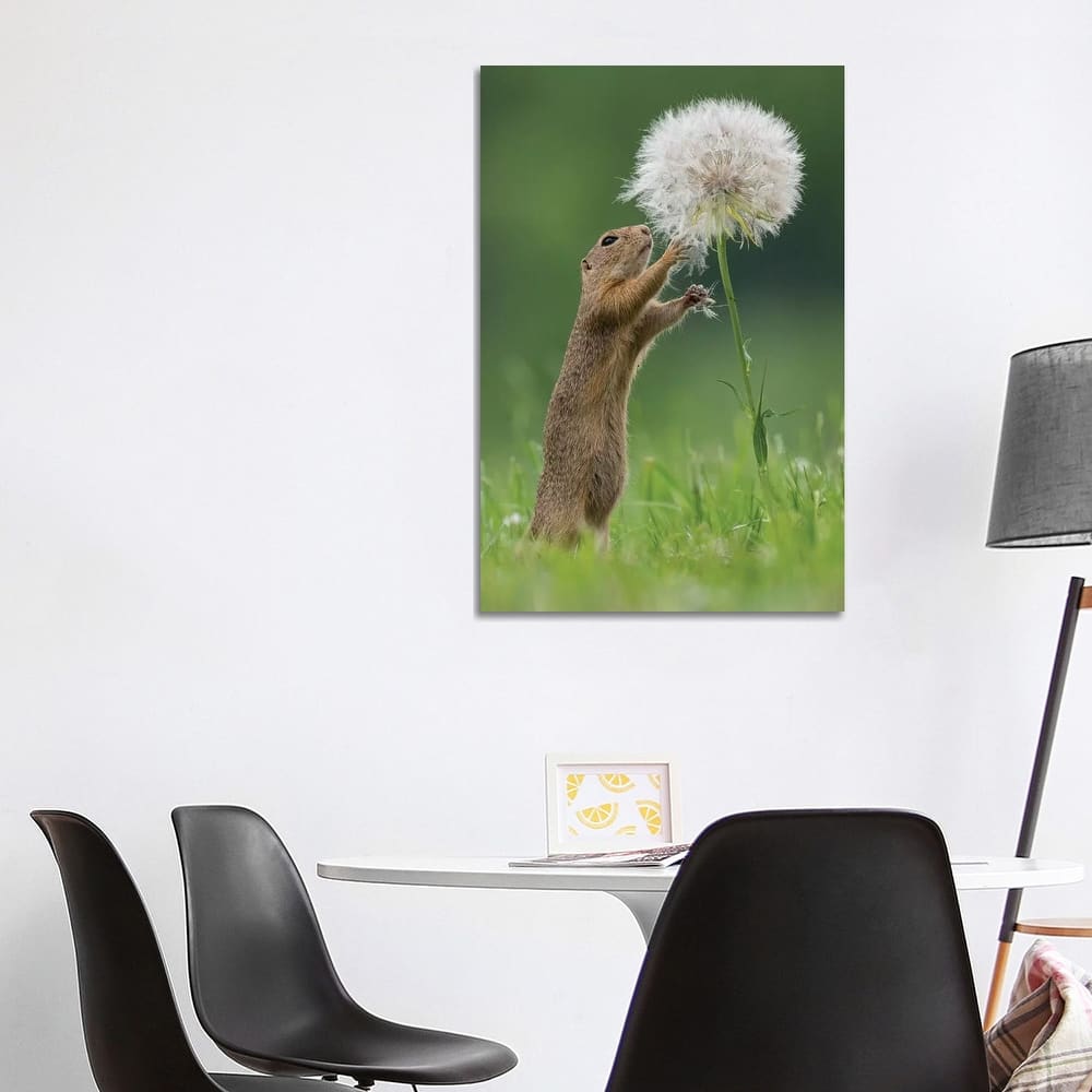 iCanvas "Ziesel With A Very Big Dandelion IV" by Dick van Duijn Canvas Print