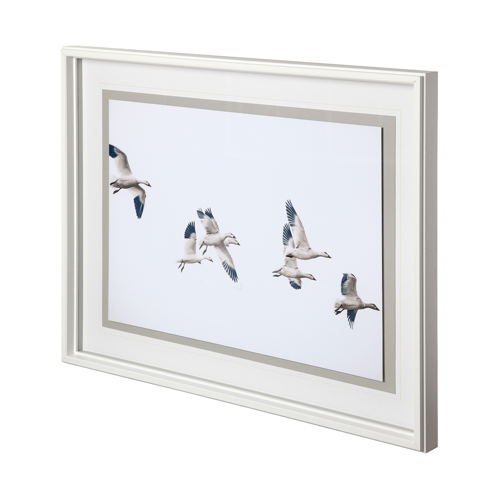 Winged Migration by Nancy Crowell a Framed Photo Art Print Matted under Glass