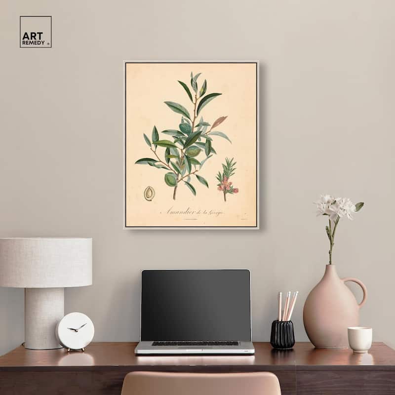 Almond of Georgia I Canvas by Art Remedy